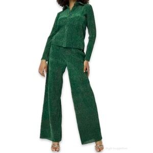 Almost Famous Buttoned Blouse & Wide Leg Pant Set in Sheer Green Sparkle Plisse
